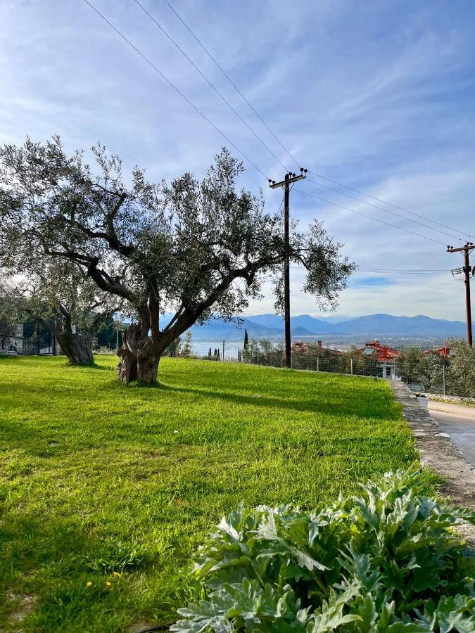 Ενtree Guest House Near Palamidi Castle Nauplion Exterior foto